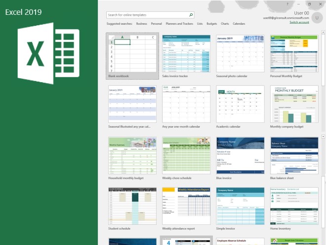 Microsoft Excel 2019 Basic to Intermediate