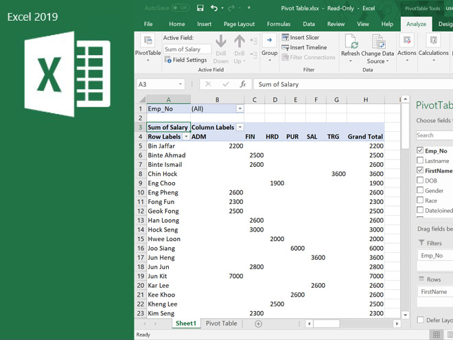 Microsoft Excel 2019 Power Pivot for Advanced Analysis